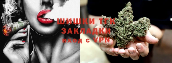 эйфоретик Гусь-Хрустальный