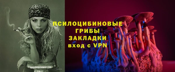 эйфоретик Гусь-Хрустальный