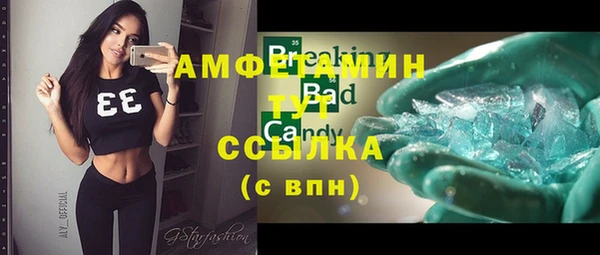 эйфоретик Гусь-Хрустальный