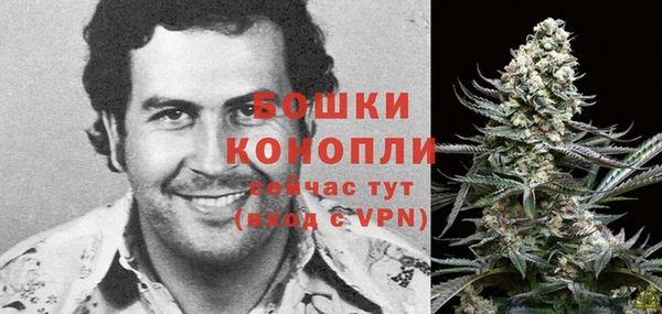 эйфоретик Гусь-Хрустальный