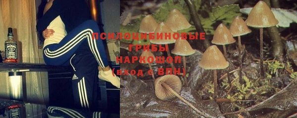 марихуана Гусиноозёрск