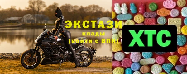 эйфоретик Гусь-Хрустальный
