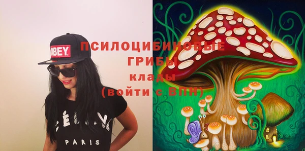 гидропоника Горняк