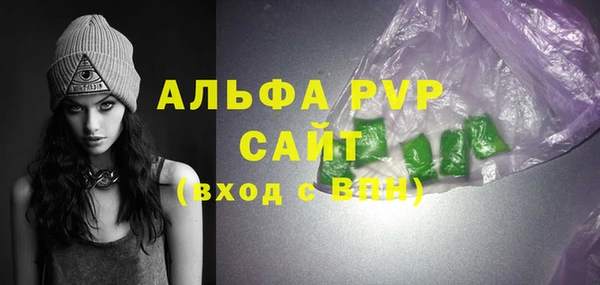 эйфоретик Гусь-Хрустальный