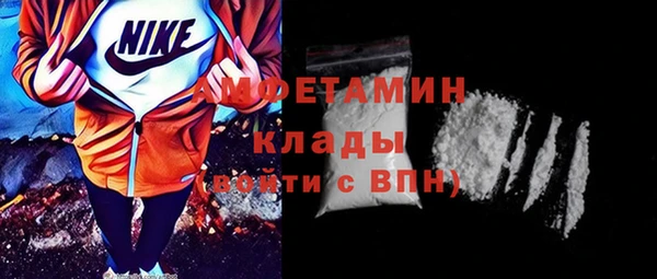 эйфоретик Гусь-Хрустальный