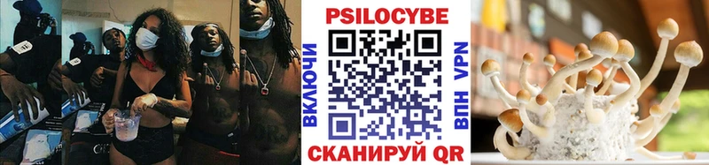 Псилоцибиновые грибы GOLDEN TEACHER  Дальнереченск 
